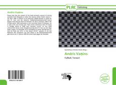 Buchcover von Andris Vaņins