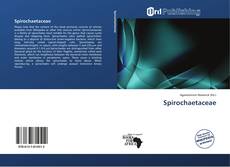 Bookcover of Spirochaetaceae