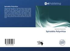 Bookcover of Spirodela Polyrrhiza