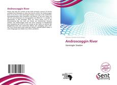 Buchcover von Androscoggin River