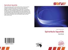 Bookcover of Spirorbula Squalida