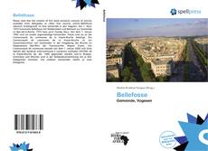 Bookcover of Bellefosse