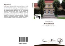 Bookcover of Bellenbusch