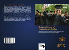 Brussels School of International Studies kitap kapağı