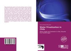 Bookcover of Water Privatization in Chile