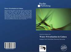 Bookcover of Water Privatization in Guinea