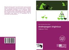 Bookcover of Andropogon virginicus