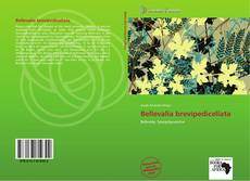 Bellevalia brevipedicellata kitap kapağı