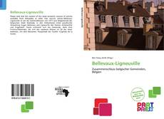 Bellevaux-Ligneuville的封面