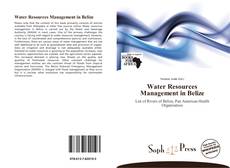Water Resources Management in Belize kitap kapağı