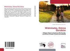 Capa do livro de Widniówka, Gmina Gorzków 