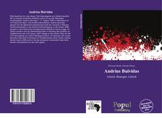 Portada del libro de Andrius Buividas