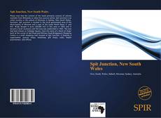 Bookcover of Spit Junction, New South Wales