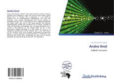 Bookcover of Andro Knel