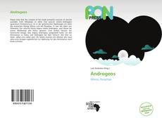 Androgeos kitap kapağı