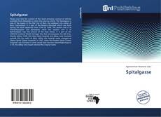 Portada del libro de Spitalgasse