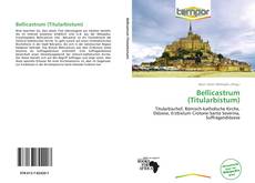 Portada del libro de Bellicastrum (Titularbistum)