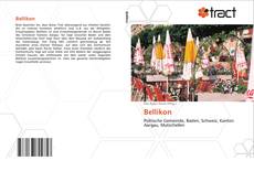 Bookcover of Bellikon