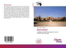 Bookcover of Bellinckhof