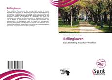 Capa do livro de Bellinghoven 