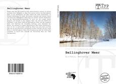Bellinghover Meer kitap kapağı