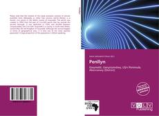 Buchcover von Penllyn