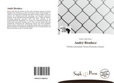 Capa do livro de André Brodocz 