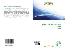 Bookcover of Spix's Yellow-Toothed Cavy