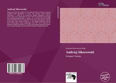 Bookcover of Andrzej Sikorowski