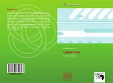 Splanchnic kitap kapağı