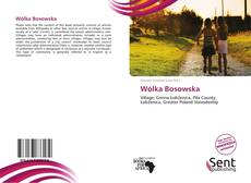 Capa do livro de Wólka Bosowska 
