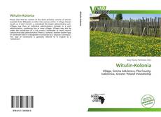 Buchcover von Witulin-Kolonia