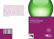 Bookcover of Andrzej Schinzel