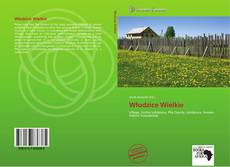 Bookcover of Włodzice Wielkie