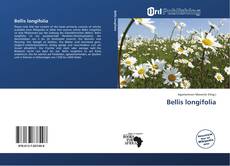 Bellis longifolia的封面