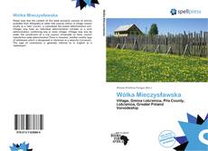 Bookcover of Wólka Mieczysławska