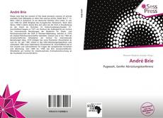 Bookcover of André Brie