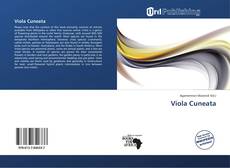 Viola Cuneata的封面