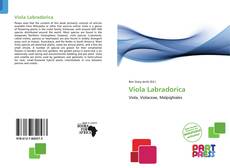 Bookcover of Viola Labradorica