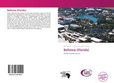 Bookcover of Bellview (Florida)