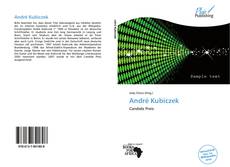 Bookcover of André Kubiczek