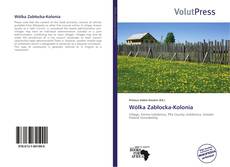 Borítókép a  Wólka Zabłocka-Kolonia - hoz