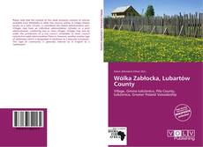 Bookcover of Wólka Zabłocka, Lubartów County