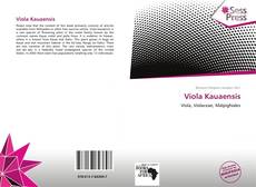 Viola Kauaensis kitap kapağı