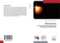 Bookcover of 4606 Saheki