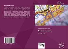 Bookcover of Belmont County