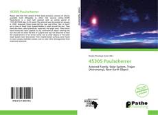 Bookcover of 45305 Paulscherrer