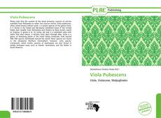 Buchcover von Viola Pubescens