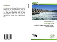 Portada del libro de Belo Monte