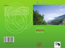 Bookcover of Beloncio